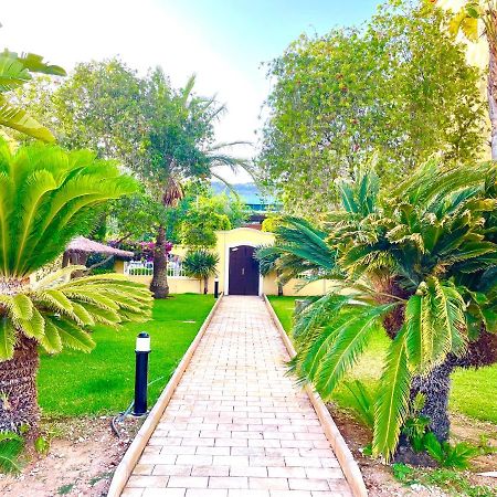 Beach Penthouse Apartment خافييا المظهر الخارجي الصورة